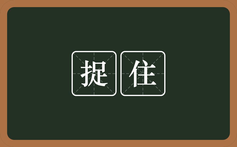 捉住的意思?捉住是什么意思?
