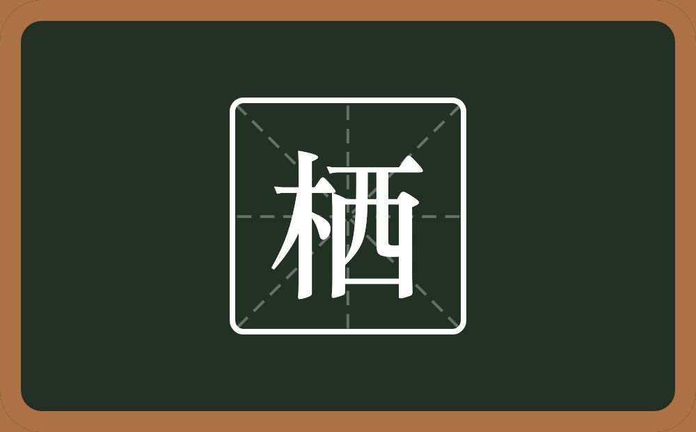 一个木一个西念什么?