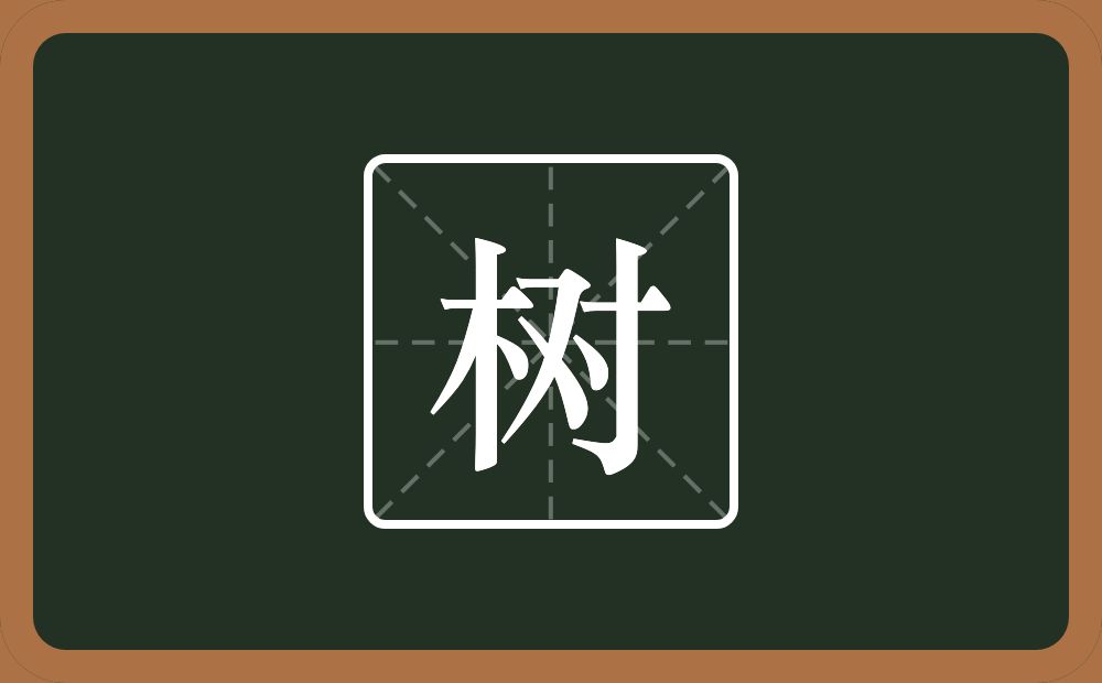 带树的女孩名字