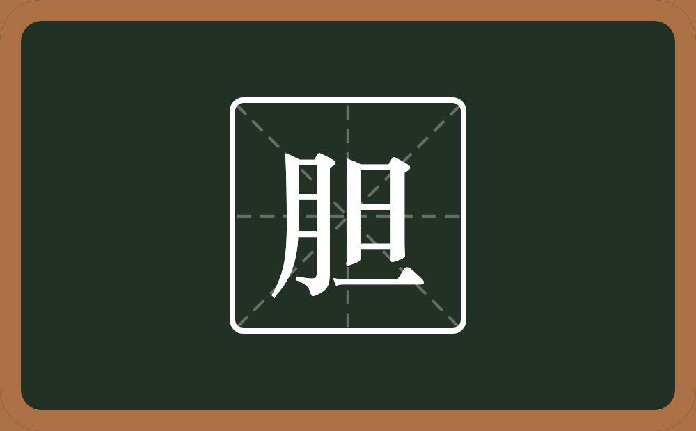 胆怎么读?胆是什么意思?