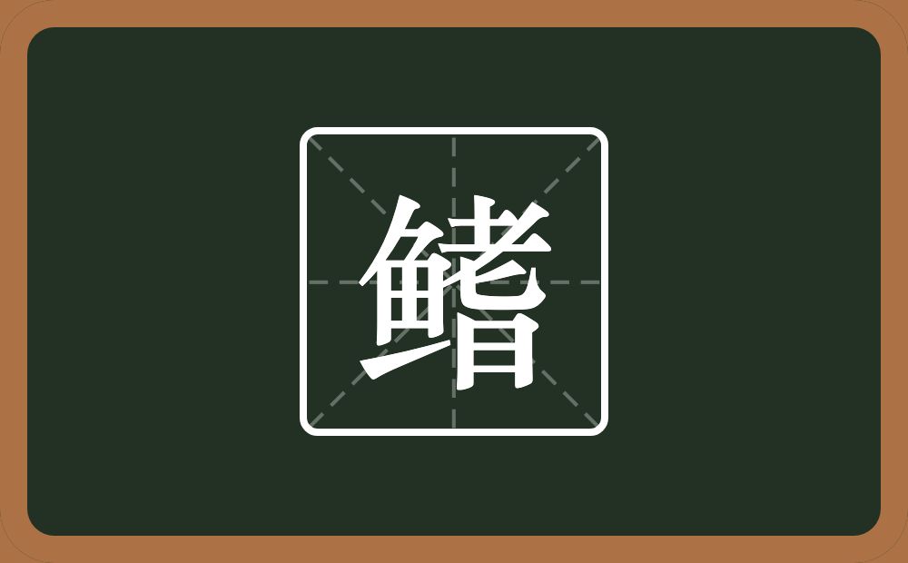鳍怎么读?鳍是什么意思?