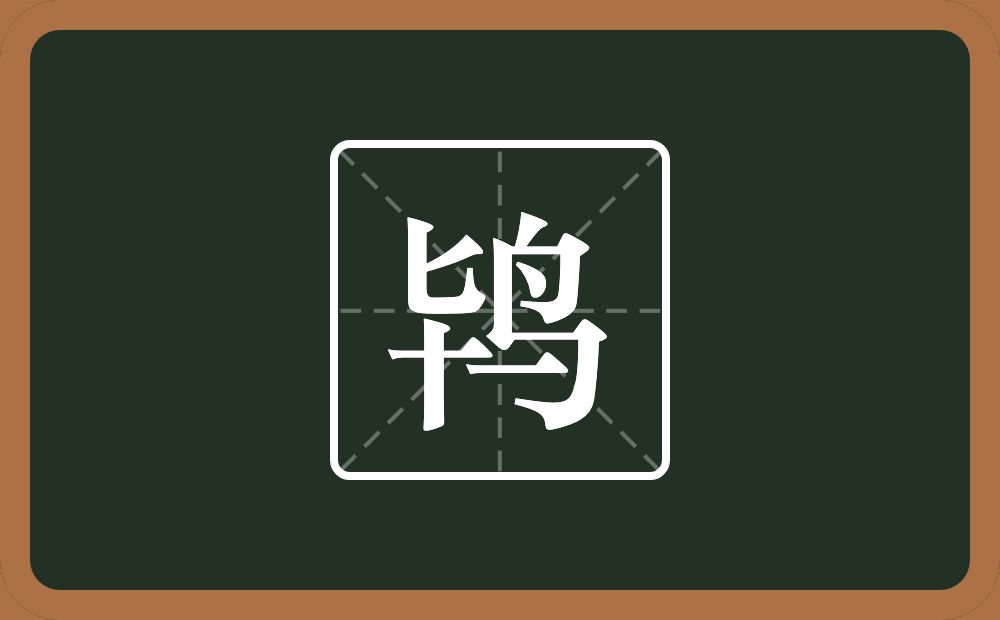 一个𠤏一个鸟念什么?