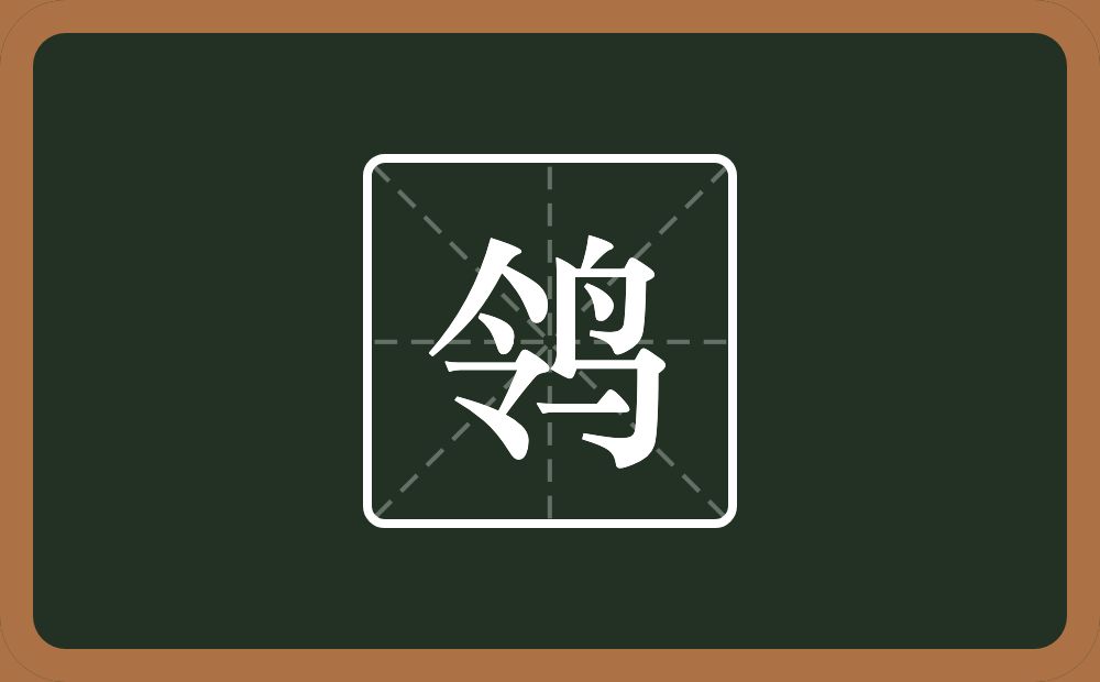 一个令一个鸟念什么？