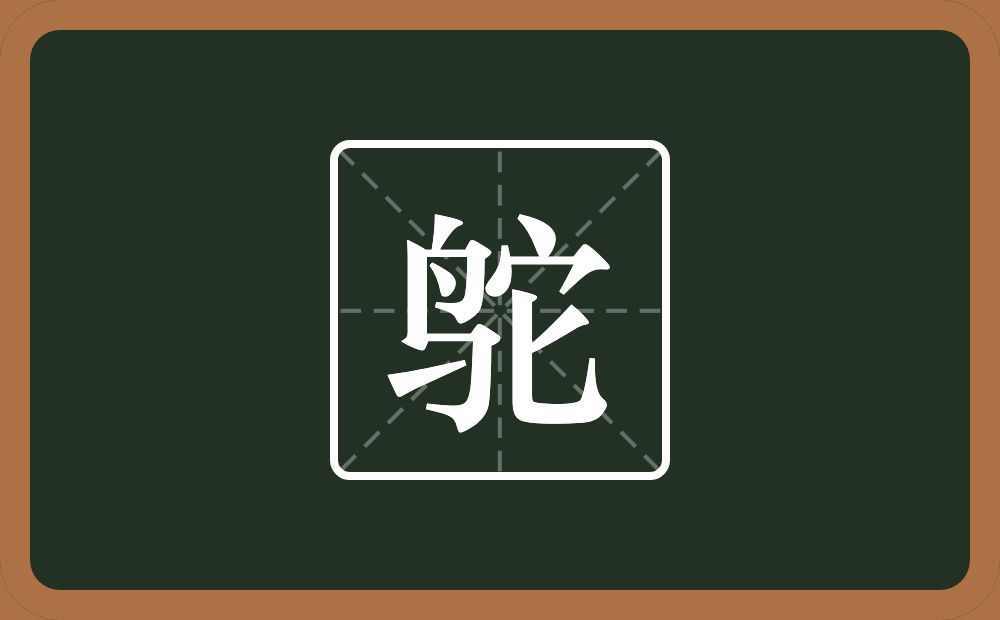 一个鸟一个它念什么?