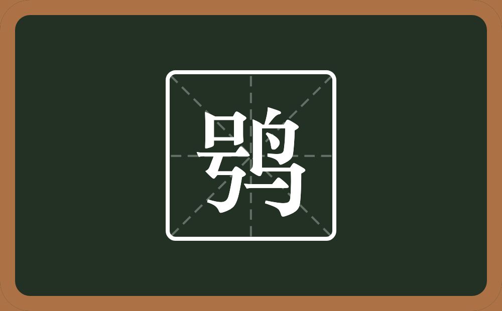 一个号一个鸟念什么？