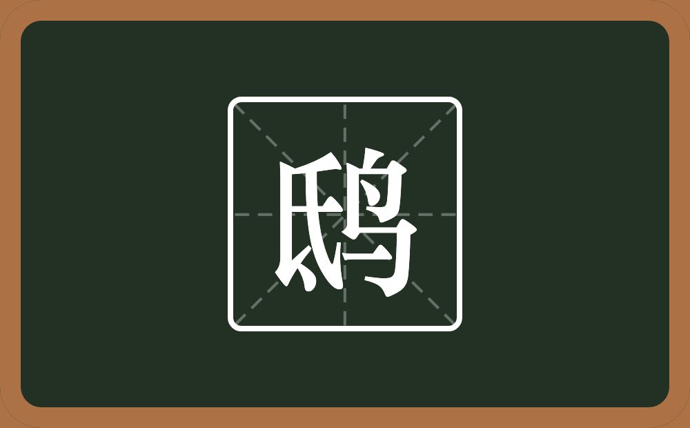 一个氐一个鸟念什么?