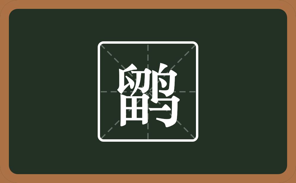 一个留一个鸟念什么？