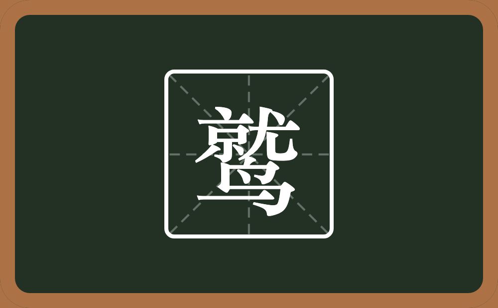 一个就一个鸟念什么?