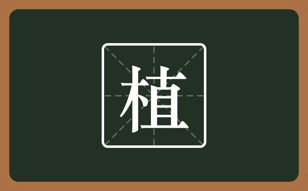 一个木一个直念什么?