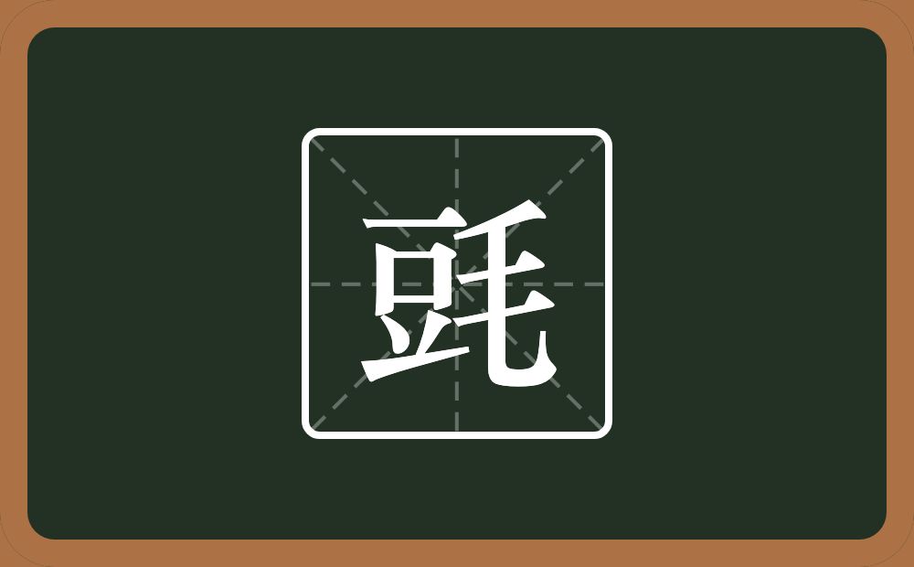 一个豆一个毛念什么？