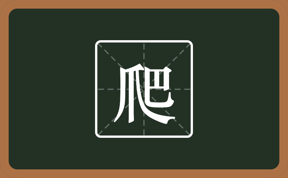 一个爪一个巴念什么?