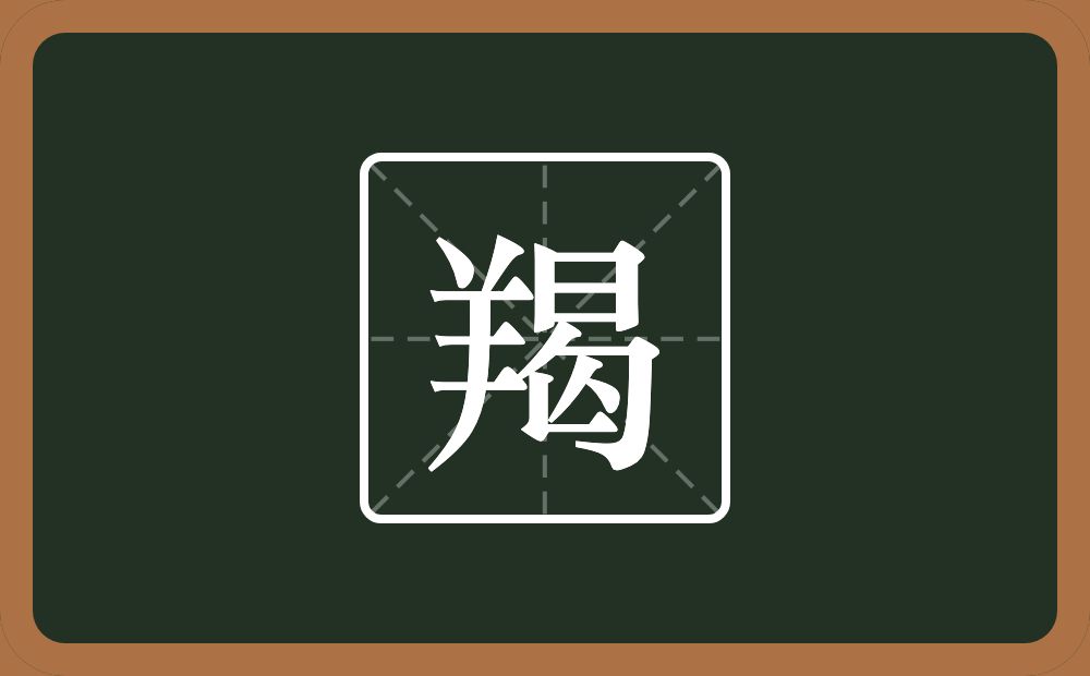 一个羊一个曷念什么?