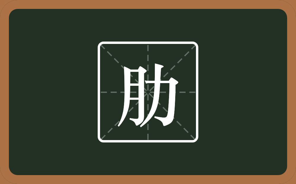 肋怎么读？肋是什么意思？