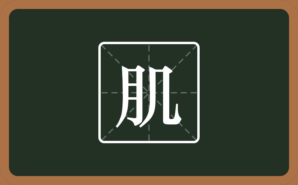 肌怎么读？肌是什么意思？