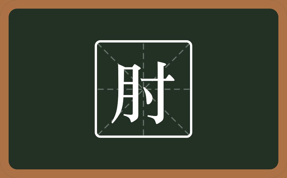 肘怎么读?肘是什么意思?