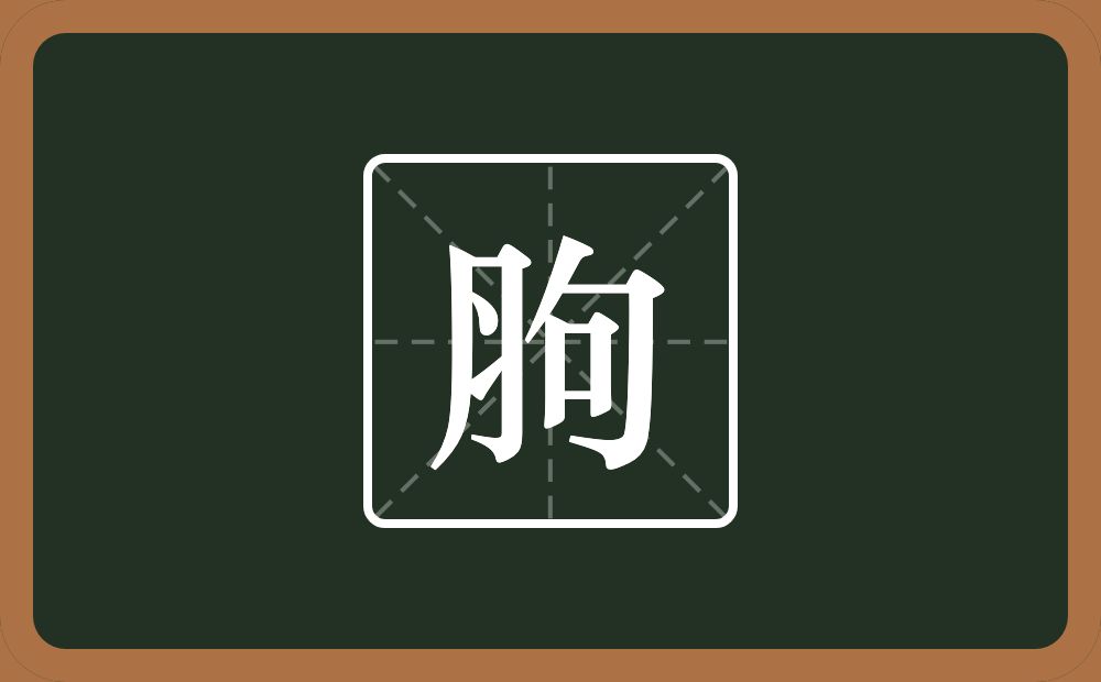 胊怎么读？胊是什么意思？