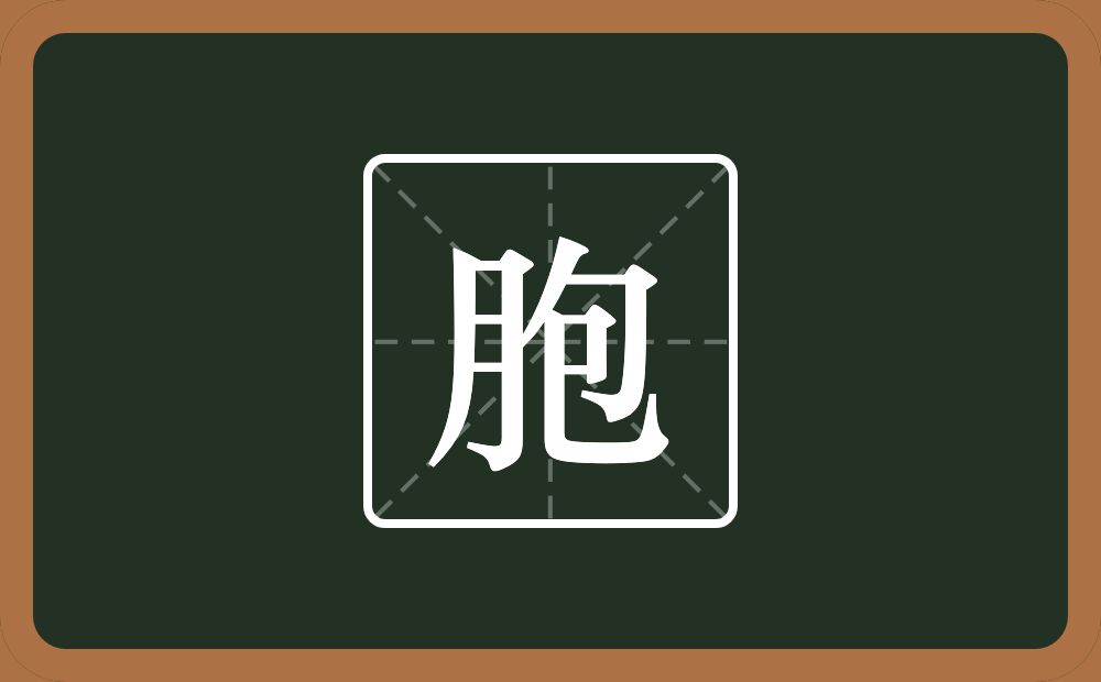 一个月一个包念什么?