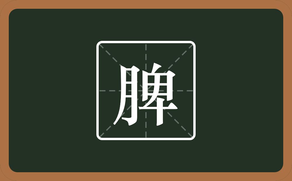 脾怎么读?脾是什么意思?