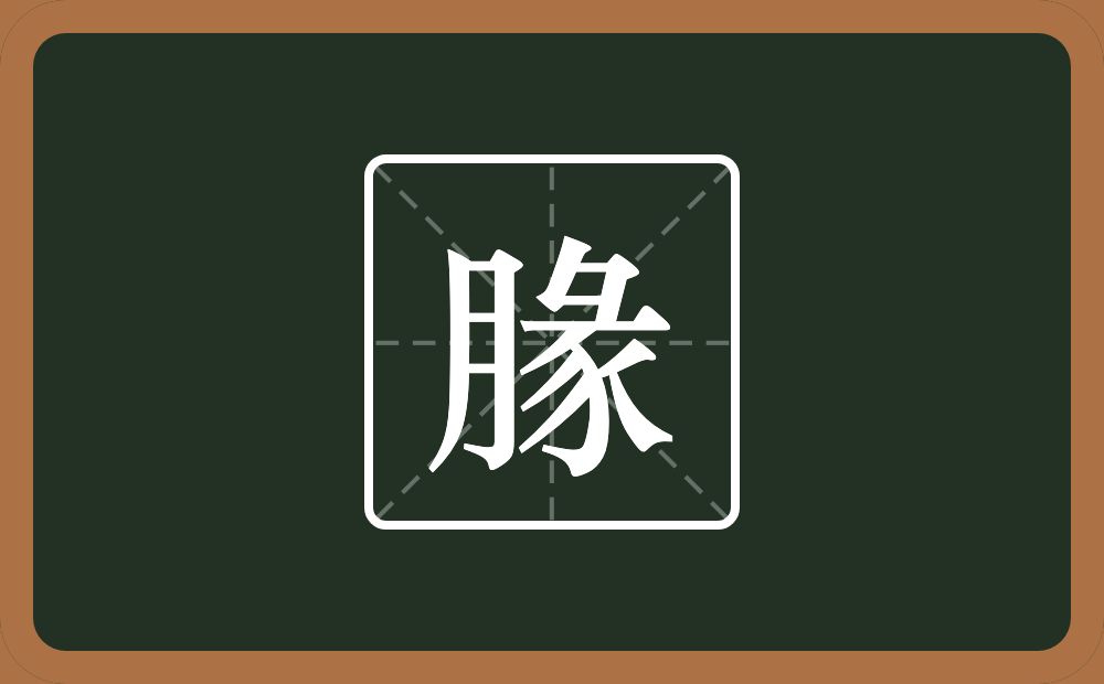 一个月一个彖念什么？