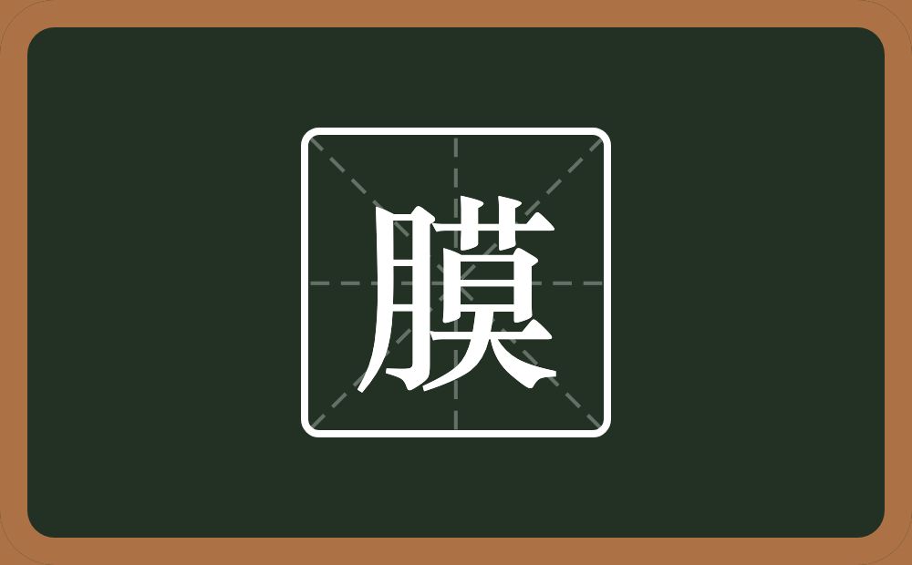 膜怎么读？膜是什么意思？