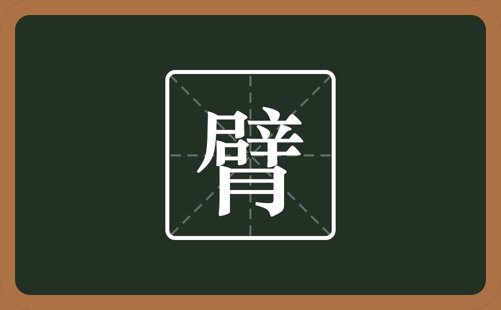 臂怎么读?臂是什么意思?