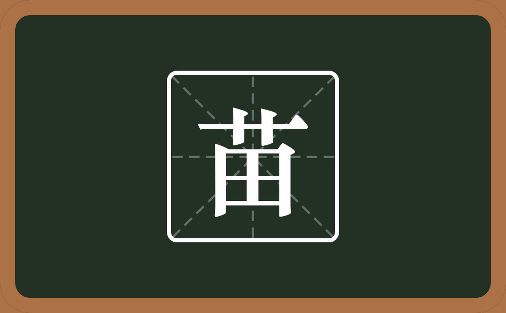 苗怎么读?苗是什么意思?