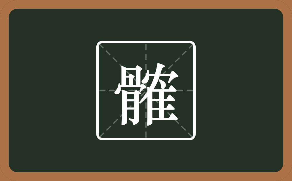一个骨一个隺念什么？