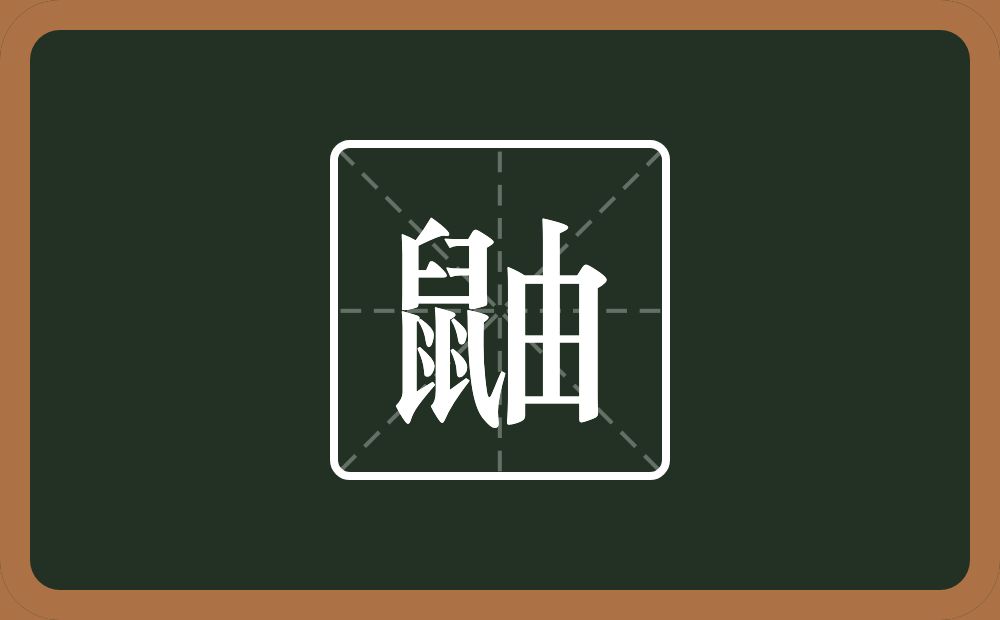 一个鼠一个由念什么?